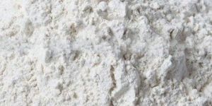 Dehydrated White Onion Powder