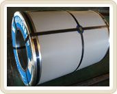 Galvanized Steel Coil
