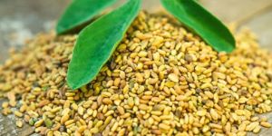Fenugreek Seed