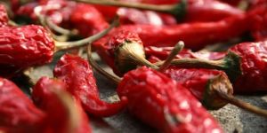 Red Dry Chili
