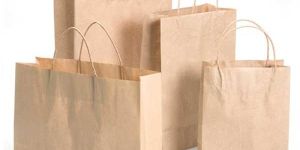 Paper Bags