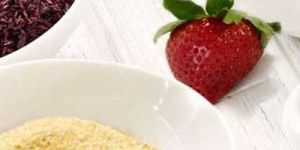 Spray Dried Fruit Powders