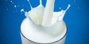 Milk