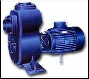 Sewage Pumps