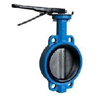 High Alloy Butterfly Valves