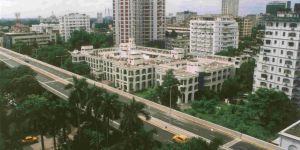 Unitary & Modular Strip Seal Expansion Joints