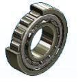 Double Row Cylindrical Roller Bearings