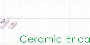Ceramic Encased Resistors