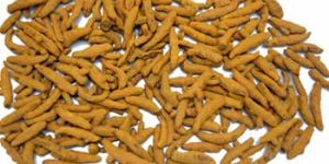 Turmeric