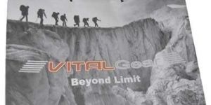 Printed Paper Carry Bags