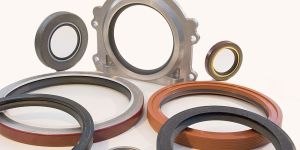 Oil Seals
