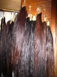 Horse Hair