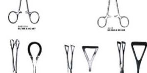 Organ Holding Forceps