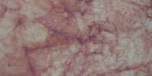 Batik Paper