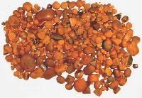 Ox Gallstones