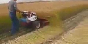 Crop Cutting Machine