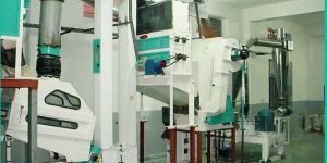 Spice Processing Plants Turnkey Projects