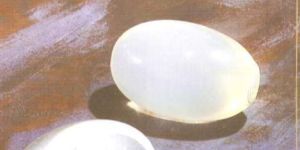 Silimed Testicular Implant