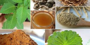 Ayurvedic Herbs