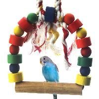 Bird Toys