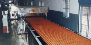 Biscuit Baking Plant