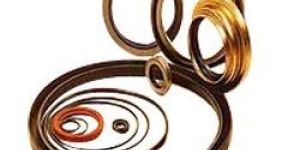Oil Seals