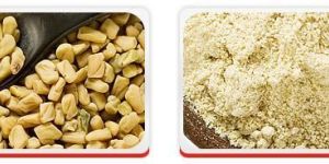 Fenugreek
