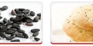 Oil Seeds, Black Sesame