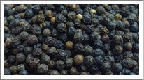 Black Pepper