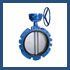 Butterfly Valves