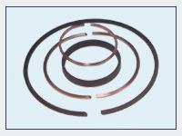 Piston Rings And Rider Rings