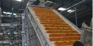 Vegetable Dehydration Plant