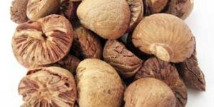 Betel Nuts-01
