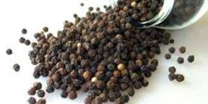 Black Pepper-03