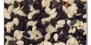 Sesame Seeds
