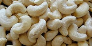 Cashew Kernels