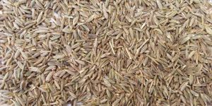 Cumin Seeds