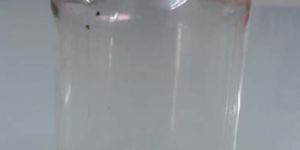 Pharmaceutical Pet Bottle