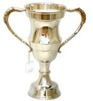 Metal Trophies