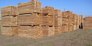 Plantation Teak Wood Sawn Clean Cut Lumber