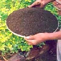 Bio Organic Fertilizer