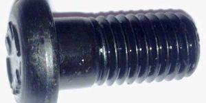 Round Head Bolt
