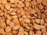 Bitter Apricot Kernels