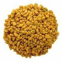 Fenugreek Seeds