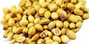 Coriander Seeds