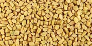 Fenugreek Seeds