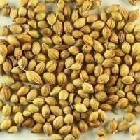 Coriander Seeds