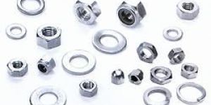 Stainless Steel Nuts