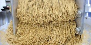 Extruder - Noodling Machine