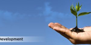 Generic Product Development Services